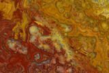 Polished, Crazy Lace Agate Slab - Western Australia #132931-1